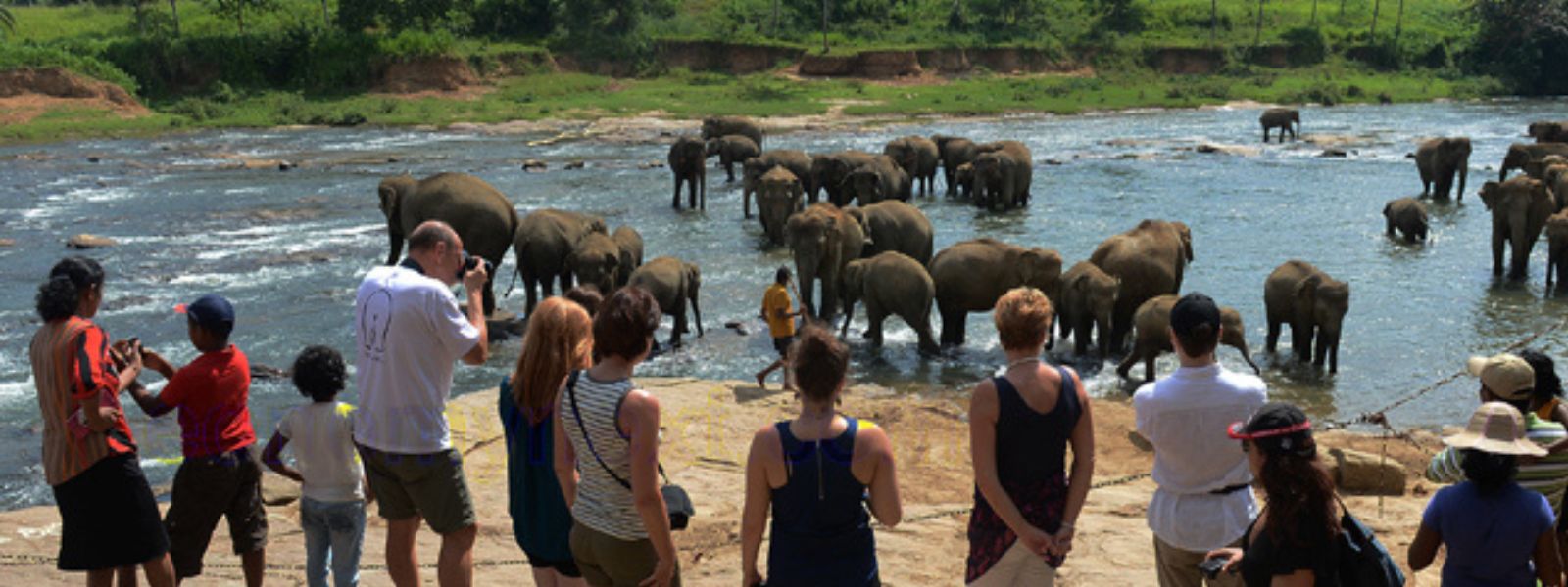 Sri Lanka Welcomes 82,000 Visitors in November